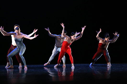 Международный балетный фестиваль Dance Open стартовал в Санкт-Петербурге